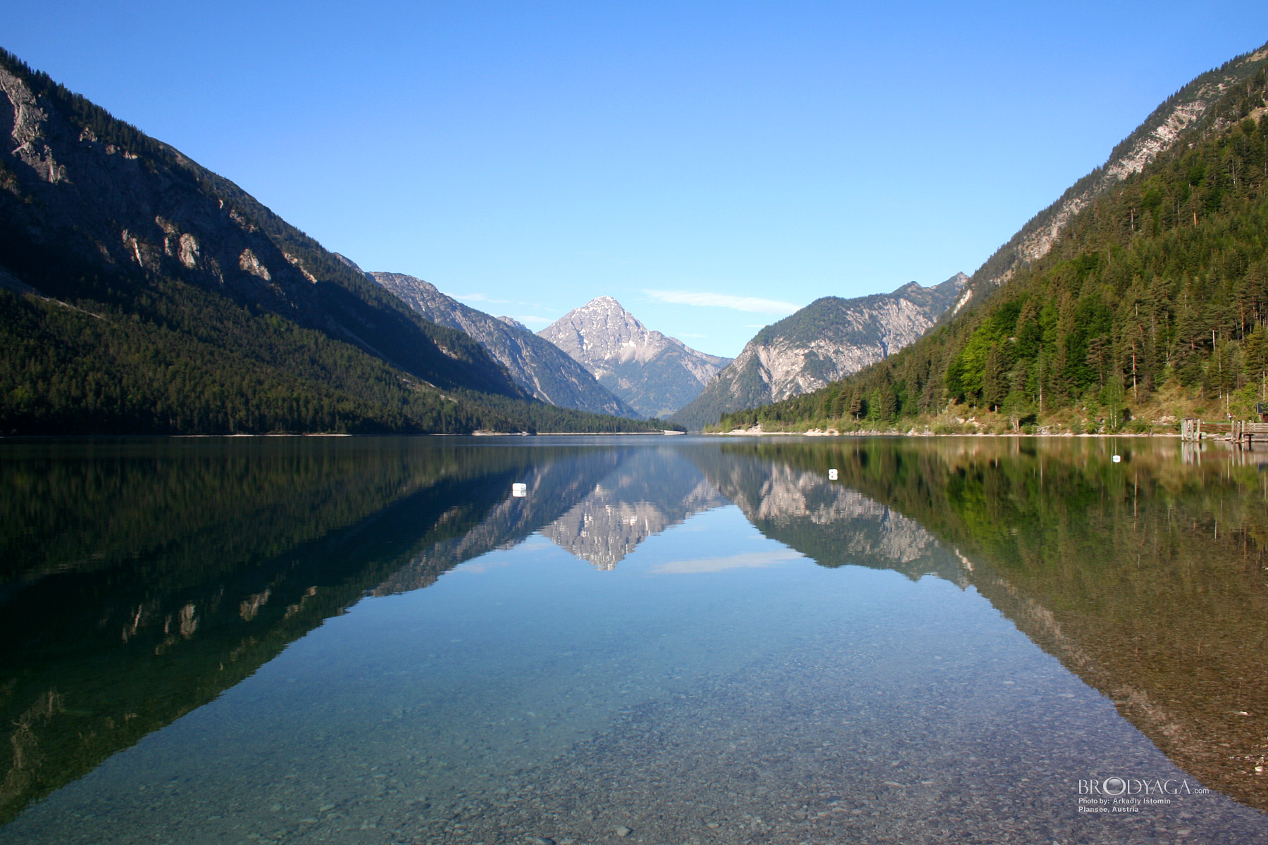 Plansee